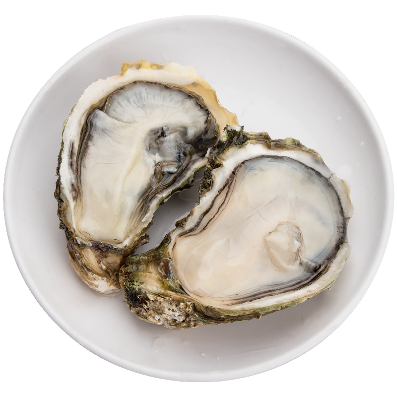 广东生蚝鲜活10斤一箱3斤特大海砺子海鲜水产新鲜超大5斤带壳牡蛎