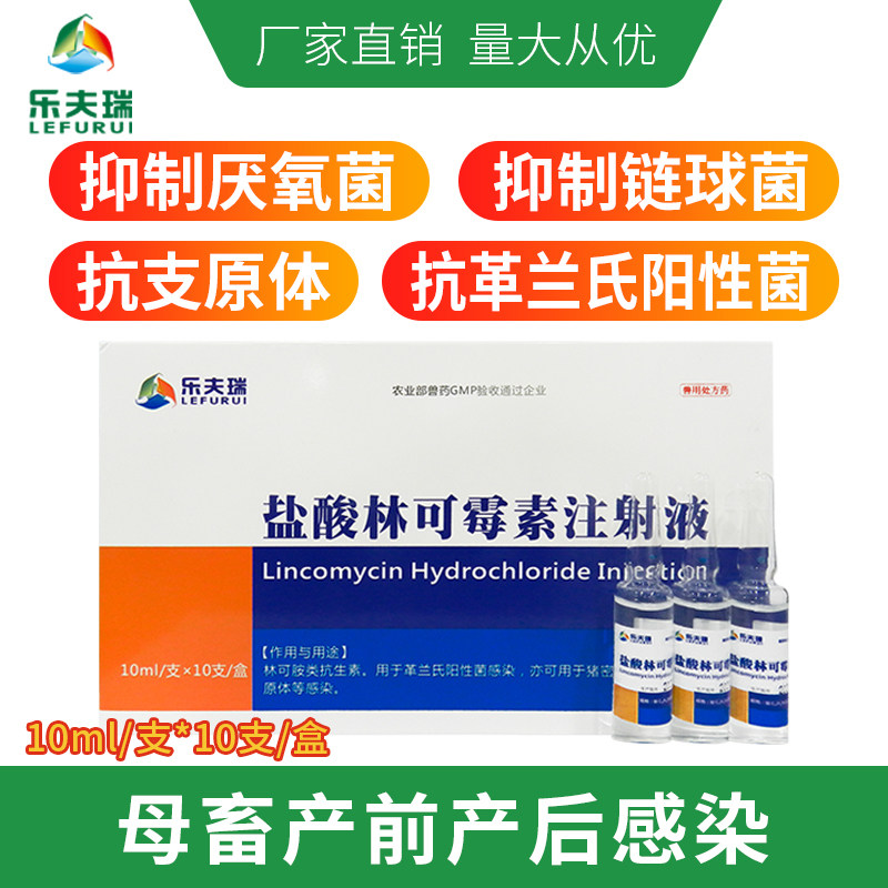 盐酸林可霉素注射液兽用针剂母猪产前产后炎症无名高烧高热消炎用