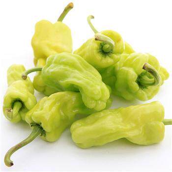 远东春生生鲜新鲜蔬菜云南皱皮辣椒400克京津冀其它