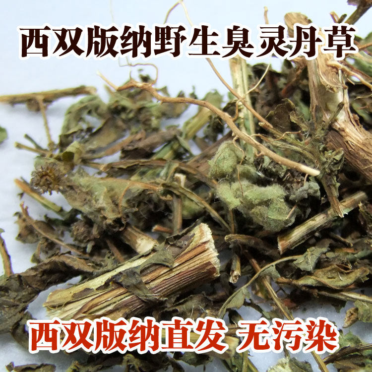 臭灵丹草250g西双版纳土特产干净鹿耳林大黑药四件包邮新品