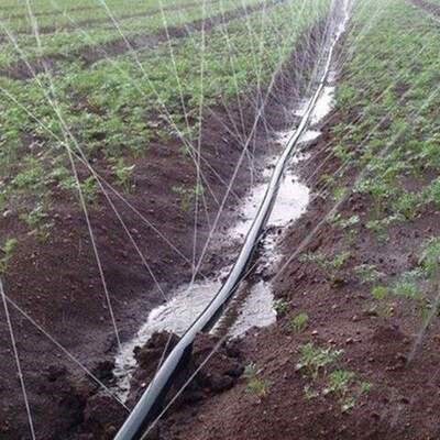 喷喷微喷滴灌喷带灌溉浇水喷灌水带水管自动雾化微喷