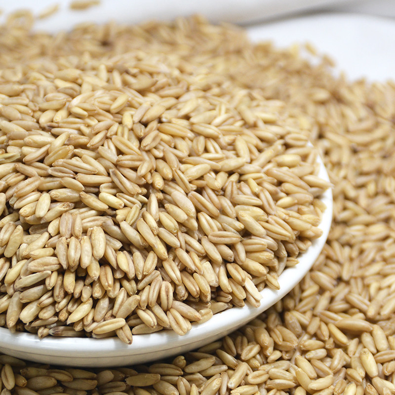 燕麦东北麦米新货500g五谷杂粮胚芽农家自产散装其它粮食