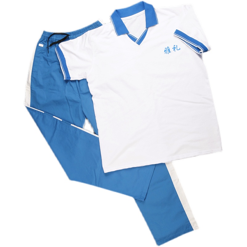 雅礼中学夏季套装校服正版北雅雅怡中雅怀化工作服
