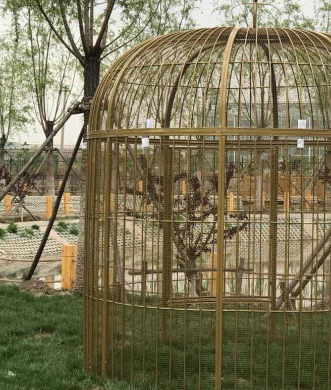 广场金属网鸟笼酒店别墅果园鸽子造型鸟用白色鸟笼