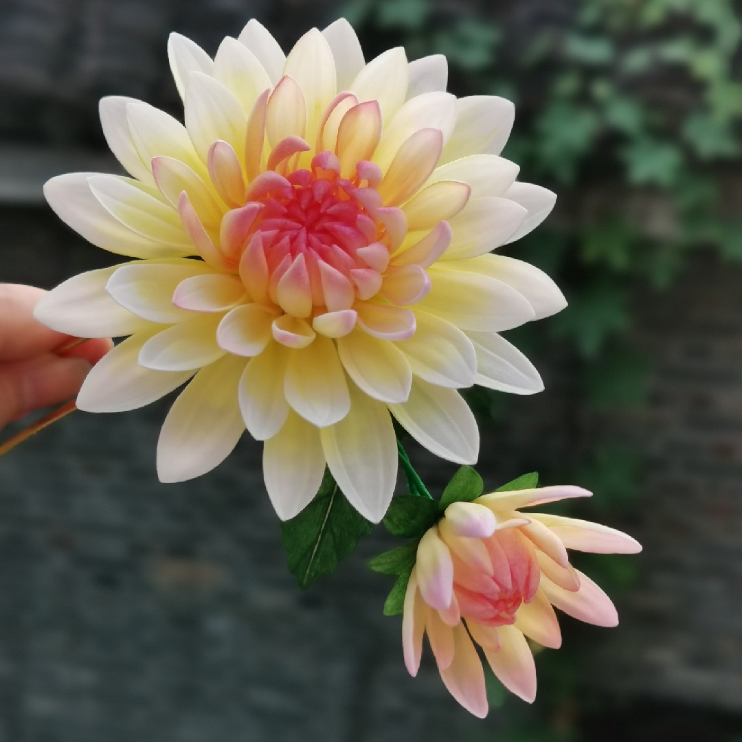 珠珠通草扬州非遗通草花大丽发簪菊花发钗汉服发饰