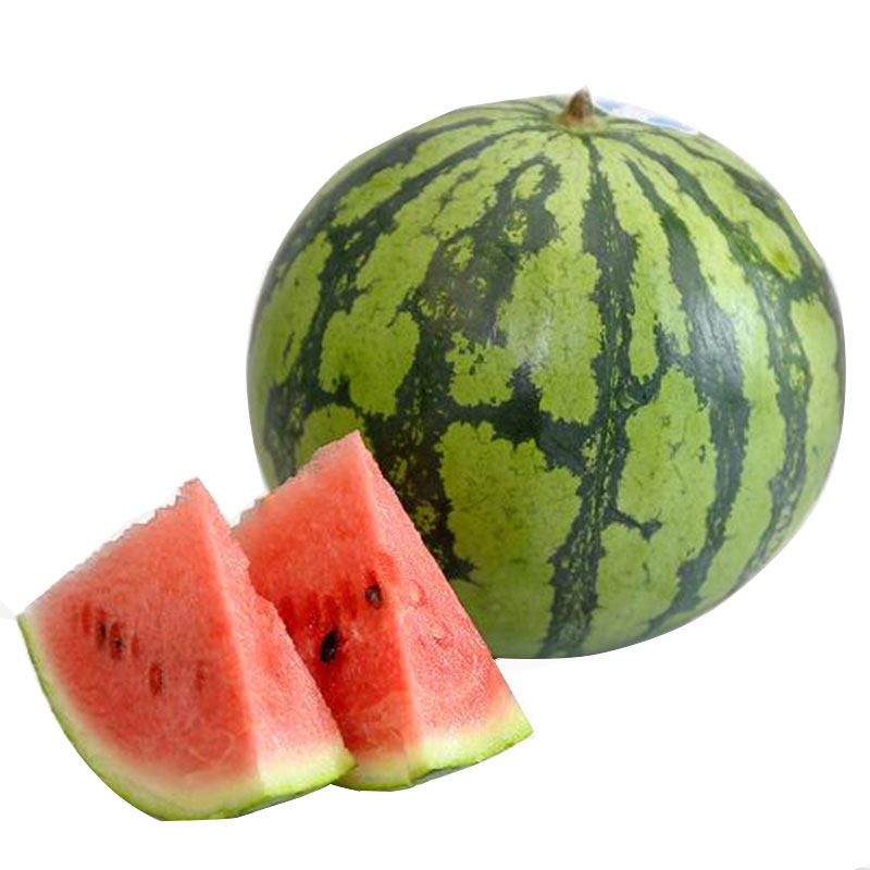 正宗8424冰糖麒麟西瓜种子瓜苗高产种籽南方家庭园艺种子