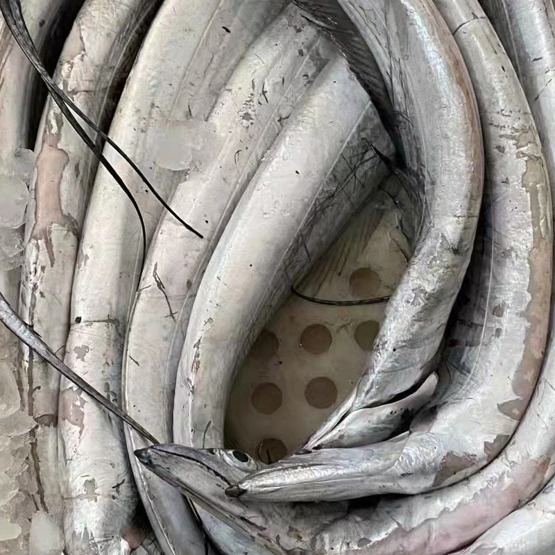 舟山带鱼超大小眼睛整条东海特级油带冰鲜大宁带鱼