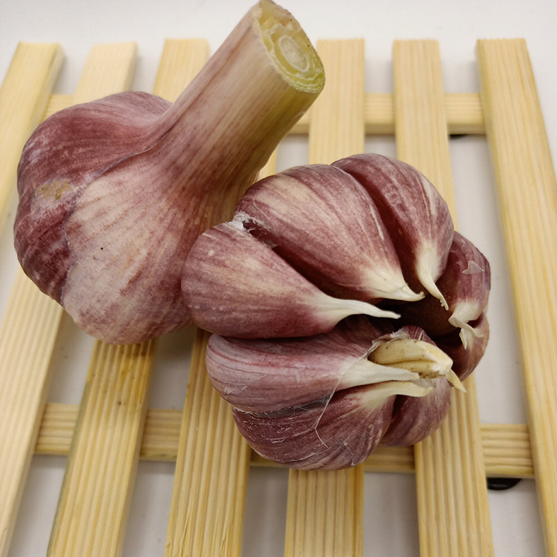 云南干红精品优质大蒜头5斤杆子紫皮一级火蒜头特大湿蒜蔬菜包邮