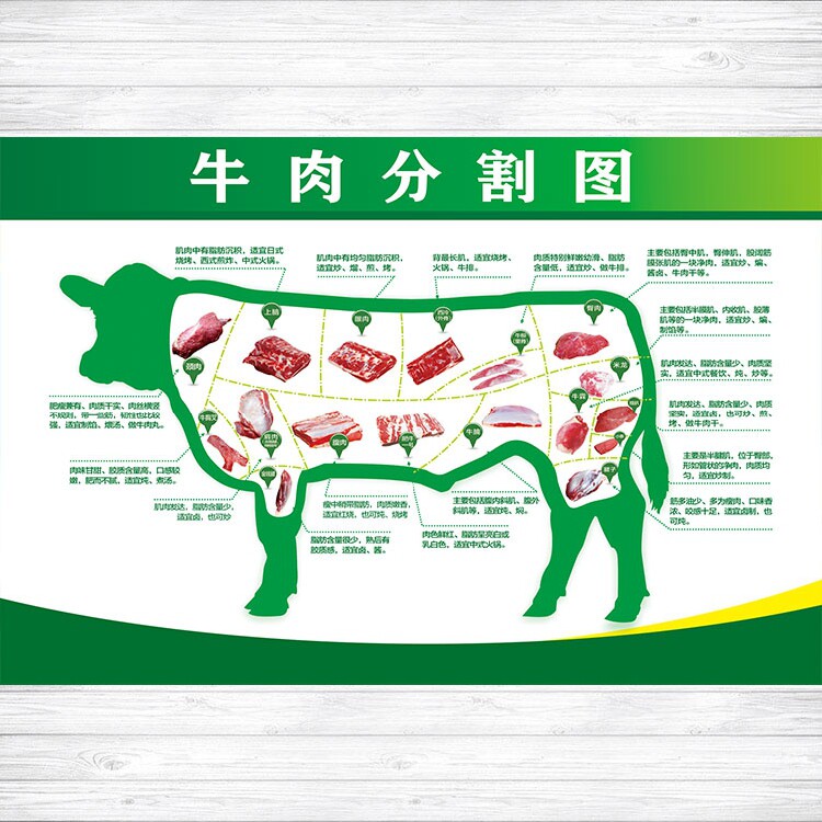 餐馆火锅牛肉分解部位图分割宣传海报印制展板写真写真