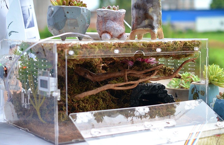 爬虫亚克力箱蛇箱蜥蜴养殖箱防逃逸叠加爬虫