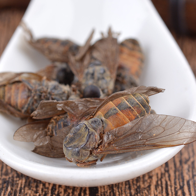 仙太医虻虫100克手选大个中药材牛苍蝇牛氓虫牛蚊子牤虫忙虫