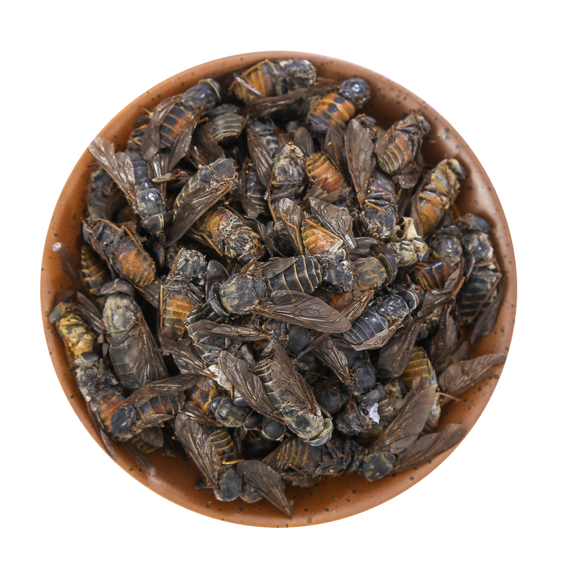 仙太医野生虻虫100g克手选大个中药材牛苍蝇牛氓虫牛蚊子牤虫忙虫-mc