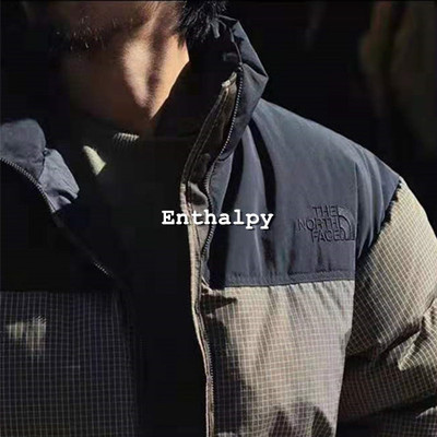 PURPLE LABEL 紫标 Color Ripstop Nuptse 1996 羽绒夹克 羽绒服