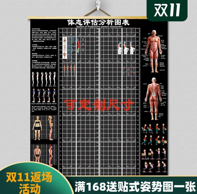 挂式体态评估表体健身房私教身体矫正网格中医定制壁画