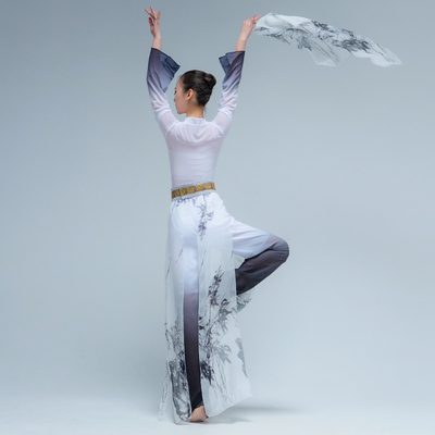 新款古典舞蹈演出服女剑舞飘逸古风舞台表演服装中国风水墨舞定制