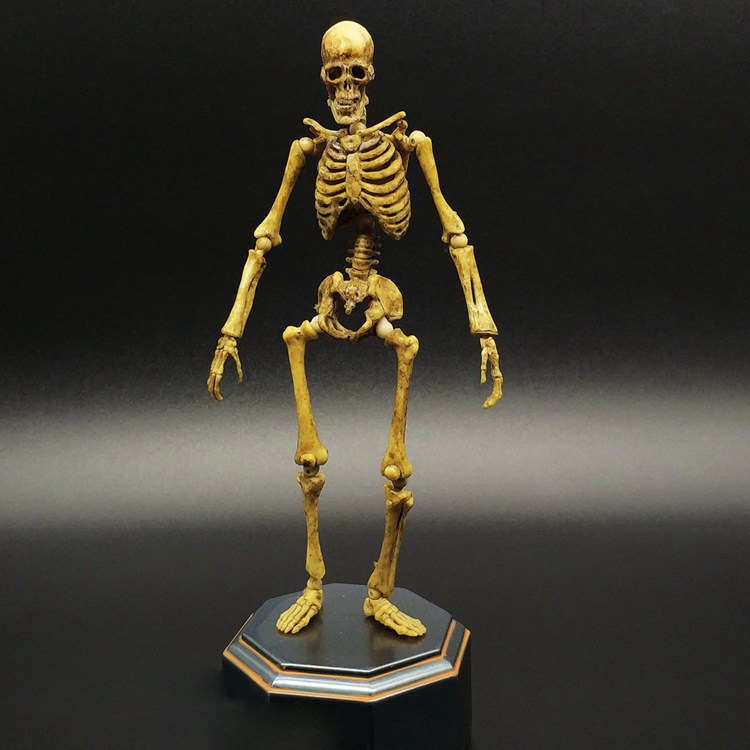 山口式骸骨头先生骷髅人偶可动手办潮玩盲盒