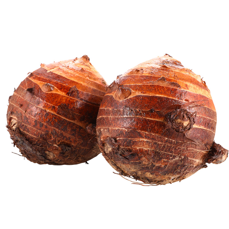 正宗宁波奉化溪口红芋艿头5斤装非荔浦新鲜粉糯农家土特产现挖