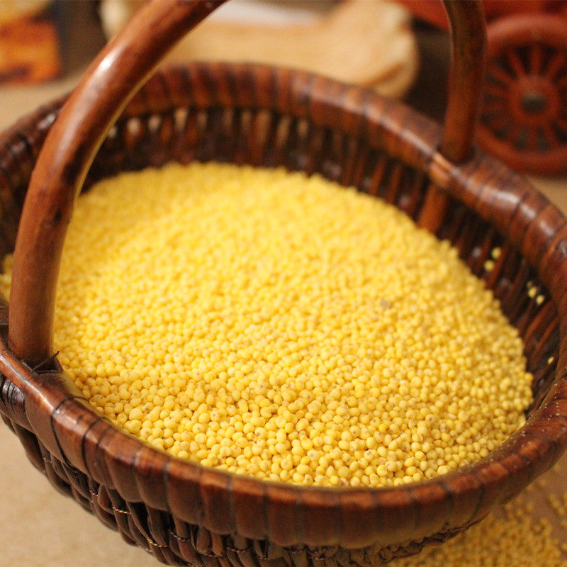 2021包粽子米黍米年糕粽子小米新米米粘糜子米软小米