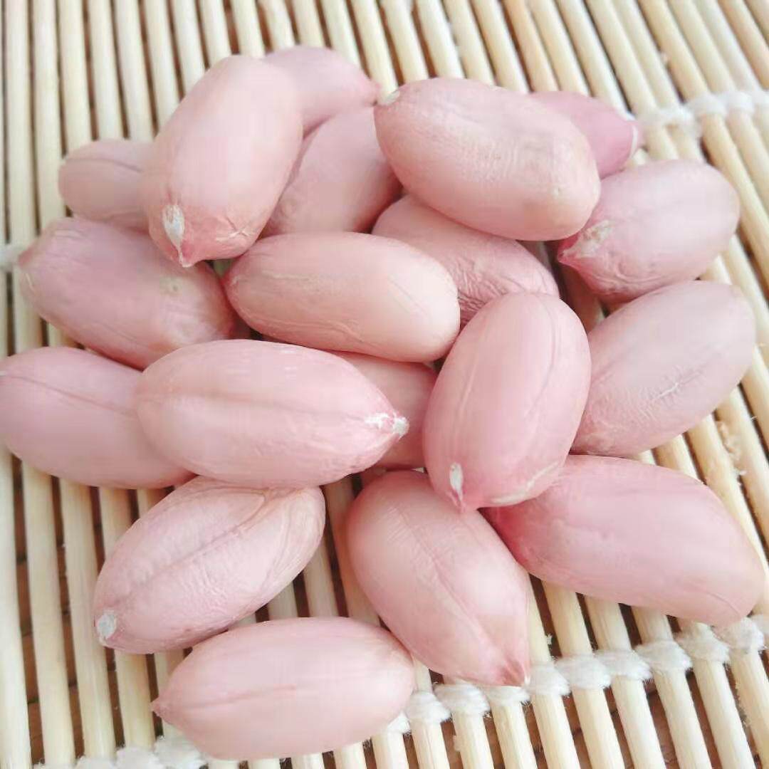 山东大粒花生米2020新货5斤农家自产新鲜特大花生