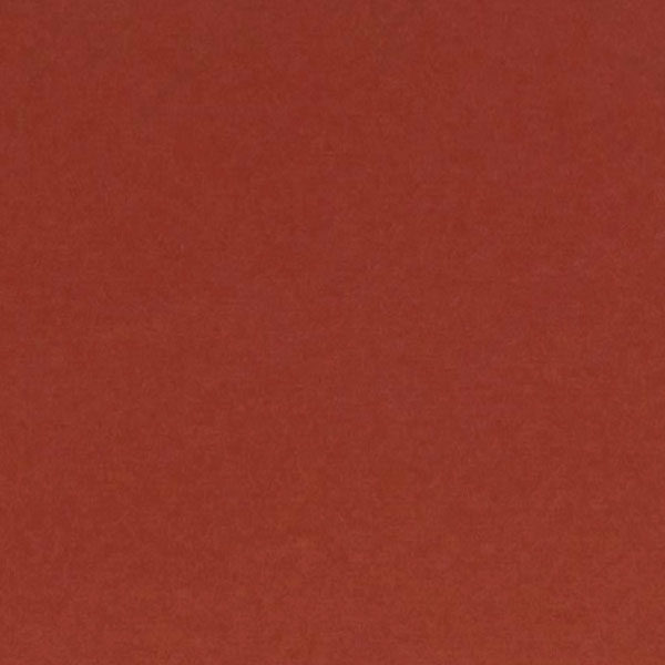 家装主材欧式别墅防潮红砖户外广场地砖防滑瓷砖仿古砖包括文化石