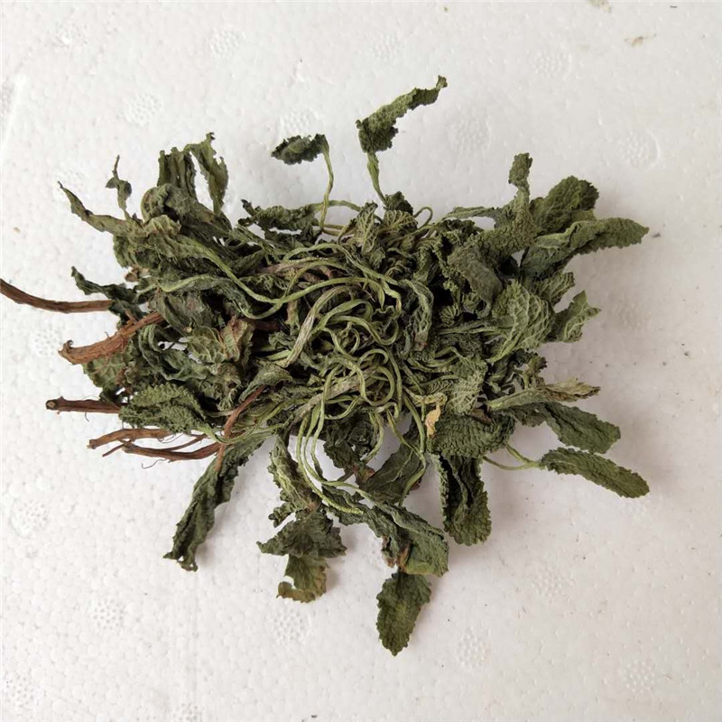 新鲜癞蛤蟆草干品雪见草青蛙草皱皮草雪里荔枝其他药食同源食品