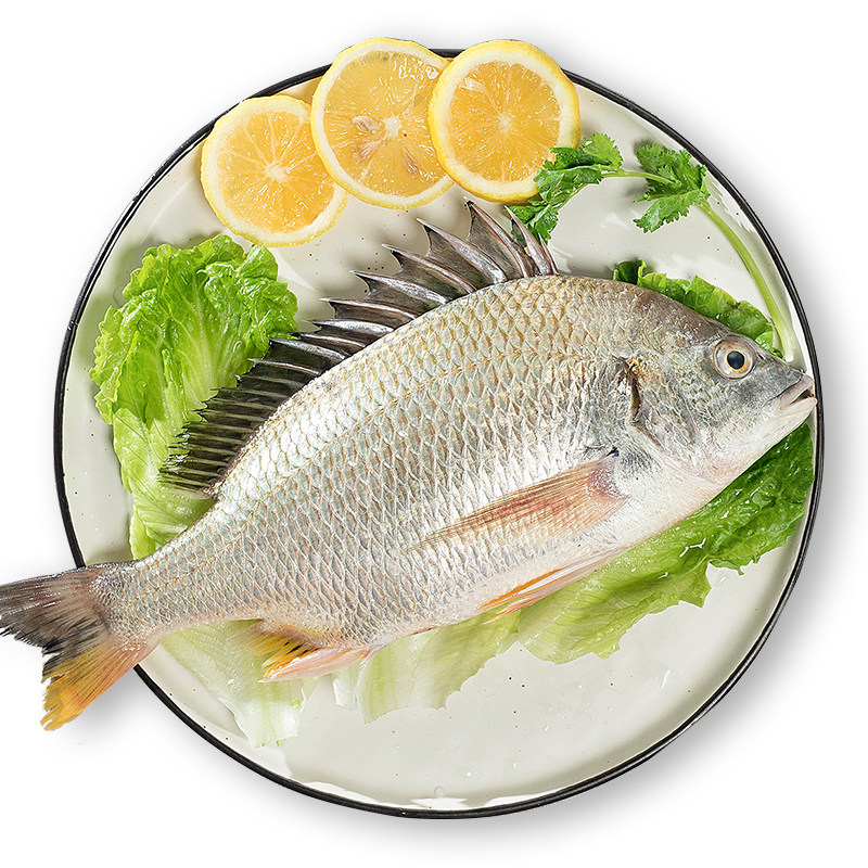 藻安生鲜东山岛海钓黄翅鱼鲜活新鲜水产500g宝宝鱼其它