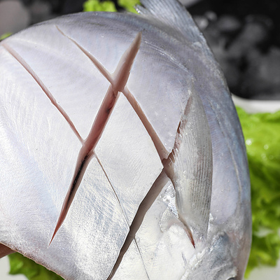 鲳鱼冷冻海鱼整箱青岛海鲜水产3斤其它