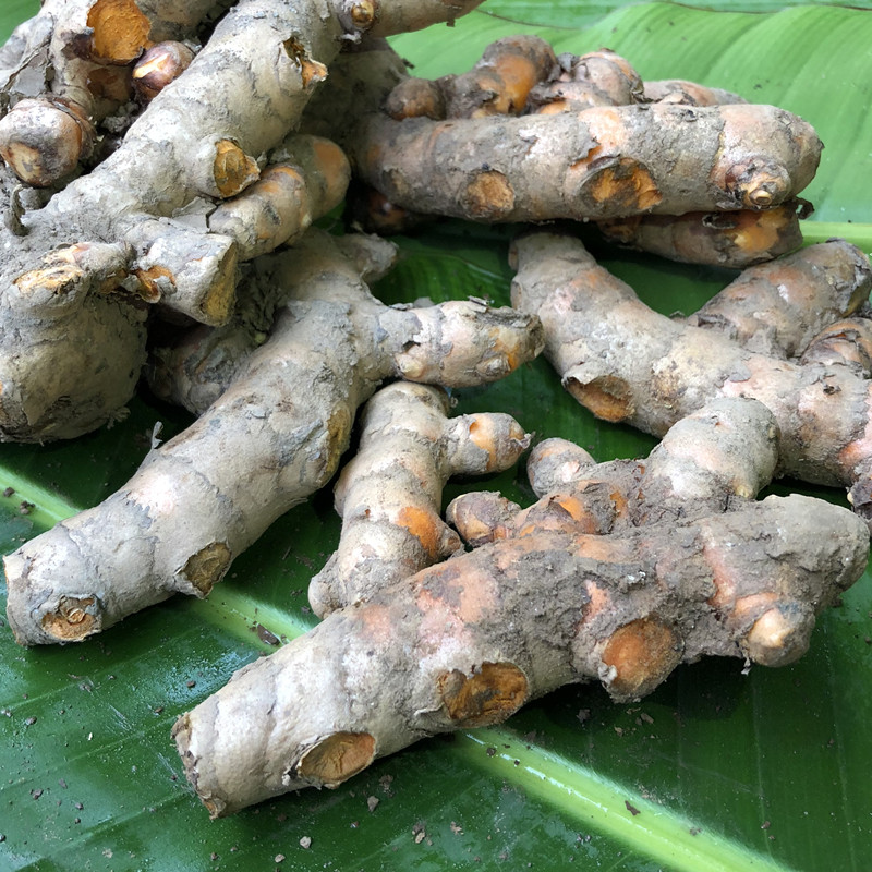 黄姜越南小指红姜月子姜月子cu新鲜nghe小黄生姜