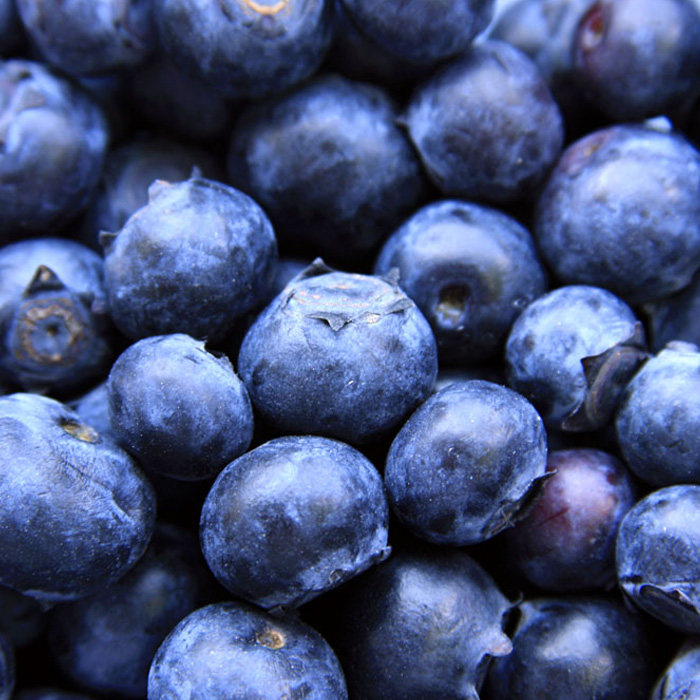 五年老店现货速发冷冻蓝莓新鲜冰冻榨汁莓果蓝莓
