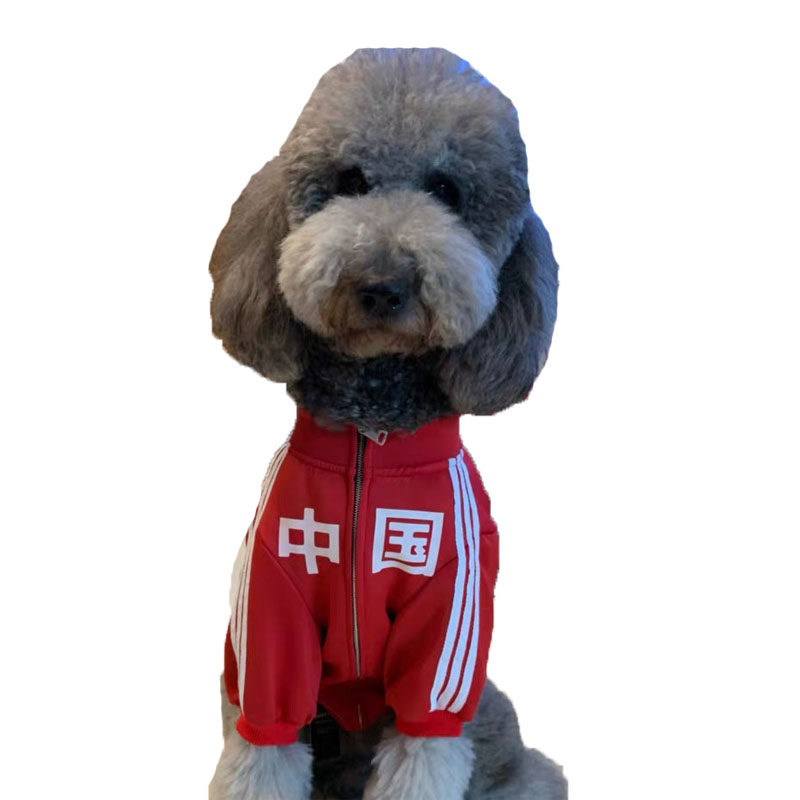 宠物潮牌狗狗大型衣服中国空气运动服秋冬拉布拉多宠物服装