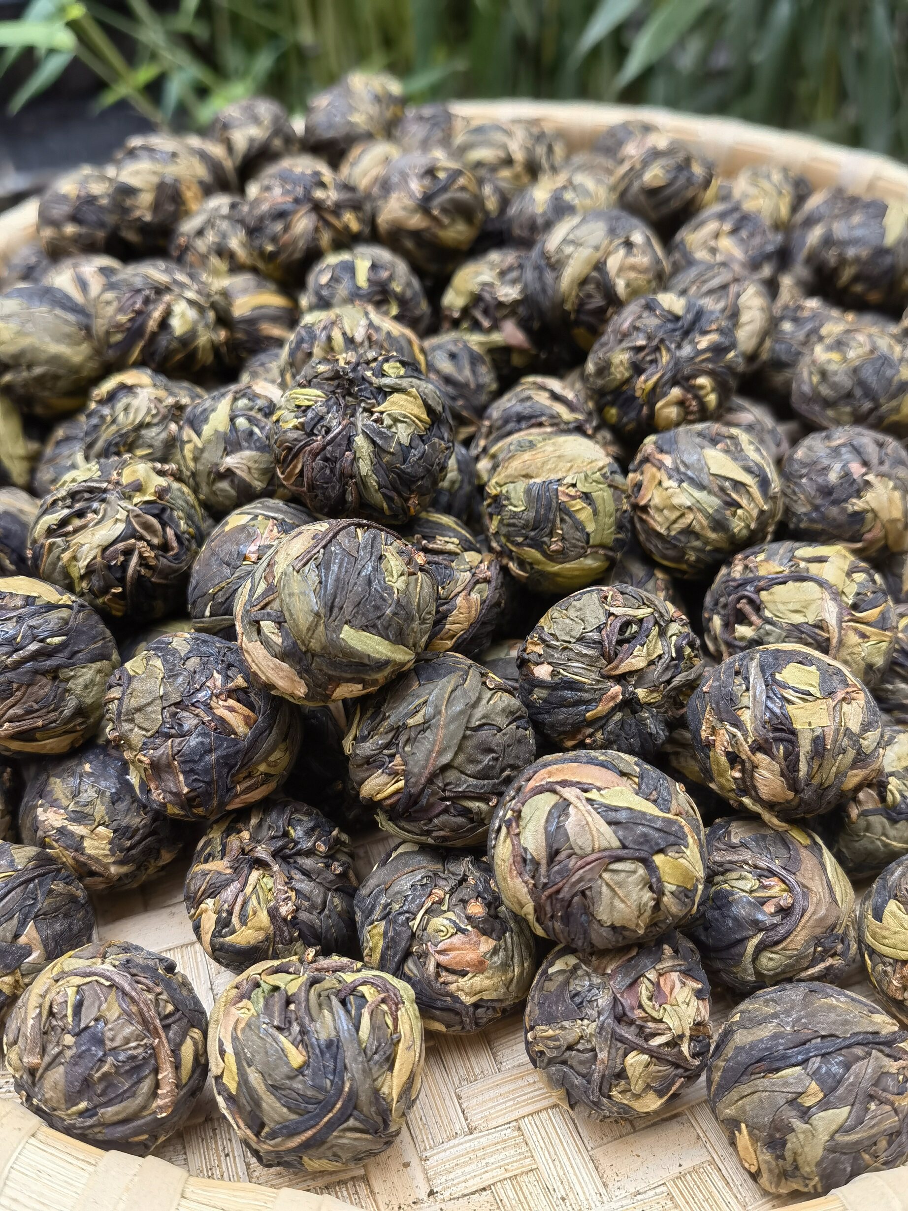 野生云南白茶永德德大雪山古树白茶小龙珠250克其它白茶