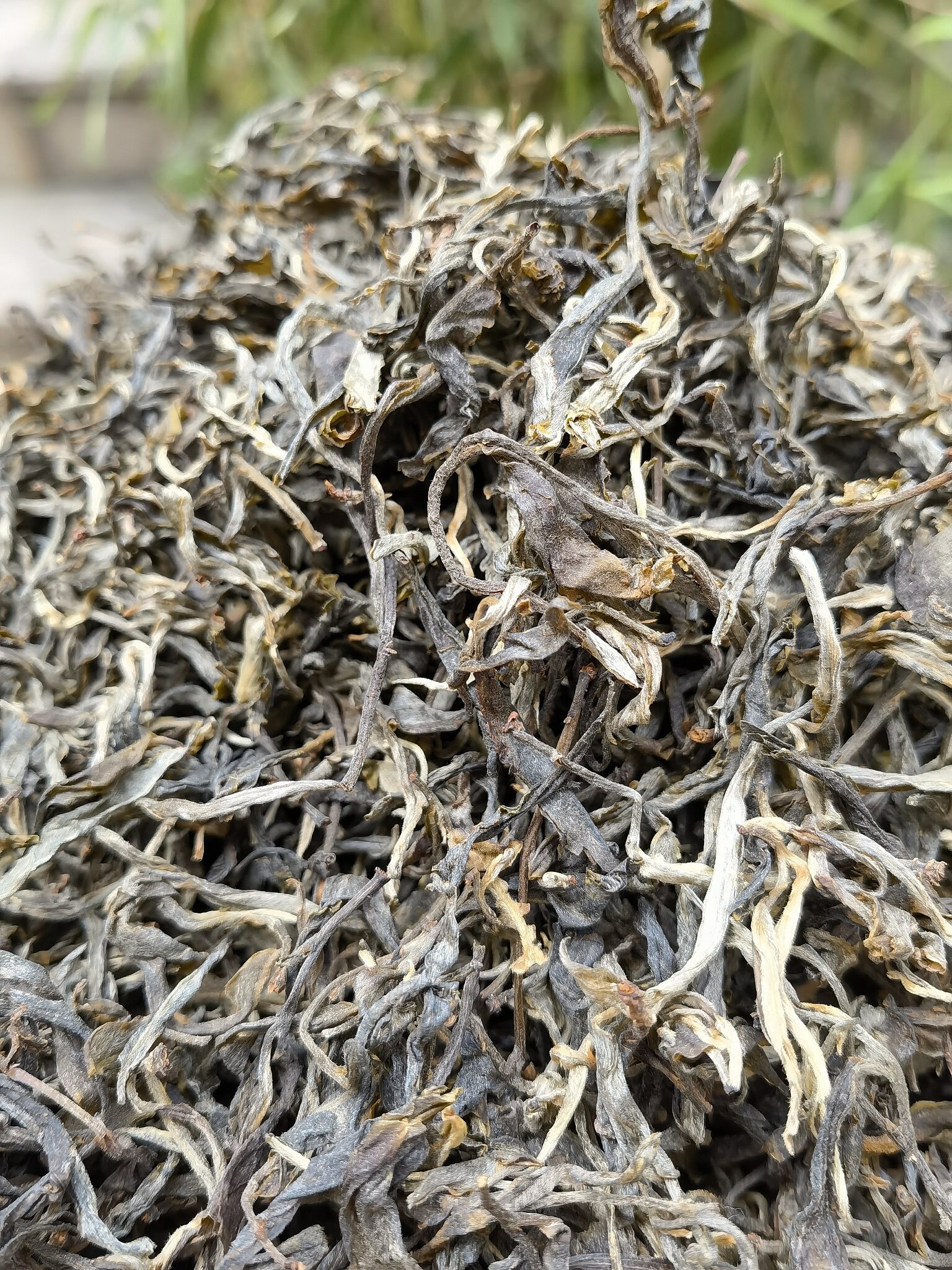 古树普洱茶生茶2021年临沧永德荒野天歌傣家春散普洱