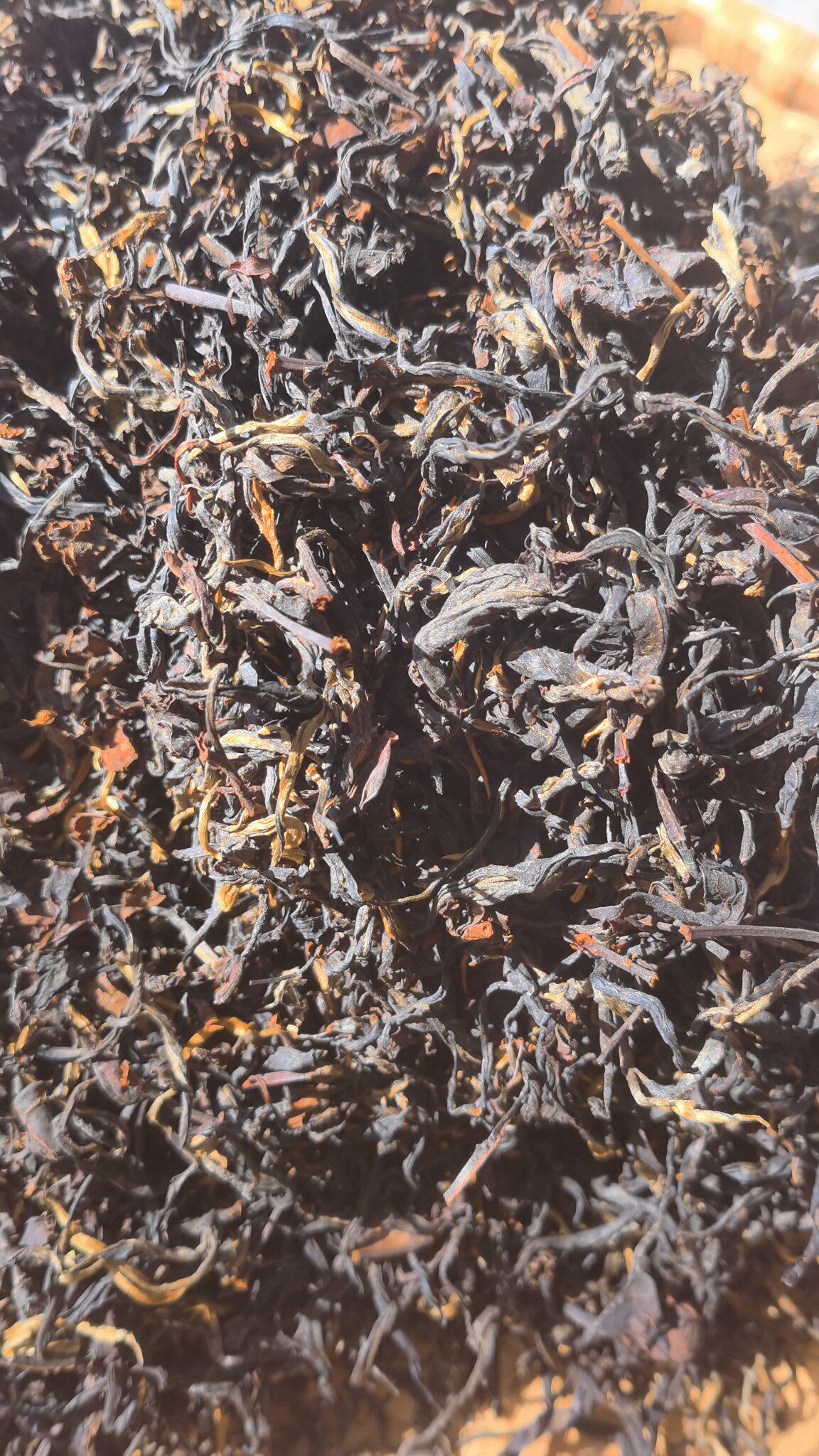 红茶2020年忙肺古树500克滇红