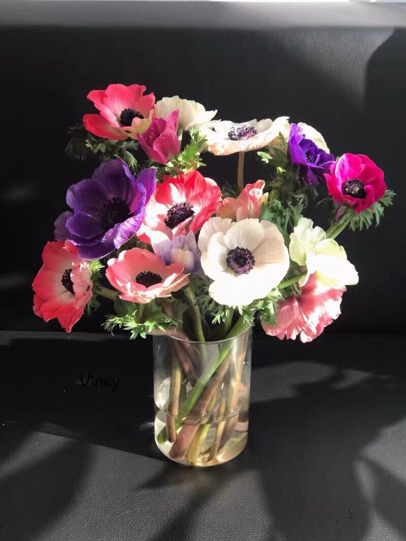 云南昆明鲜花基地直发银莲花秋牡丹婚礼家庭办公室插花招代理