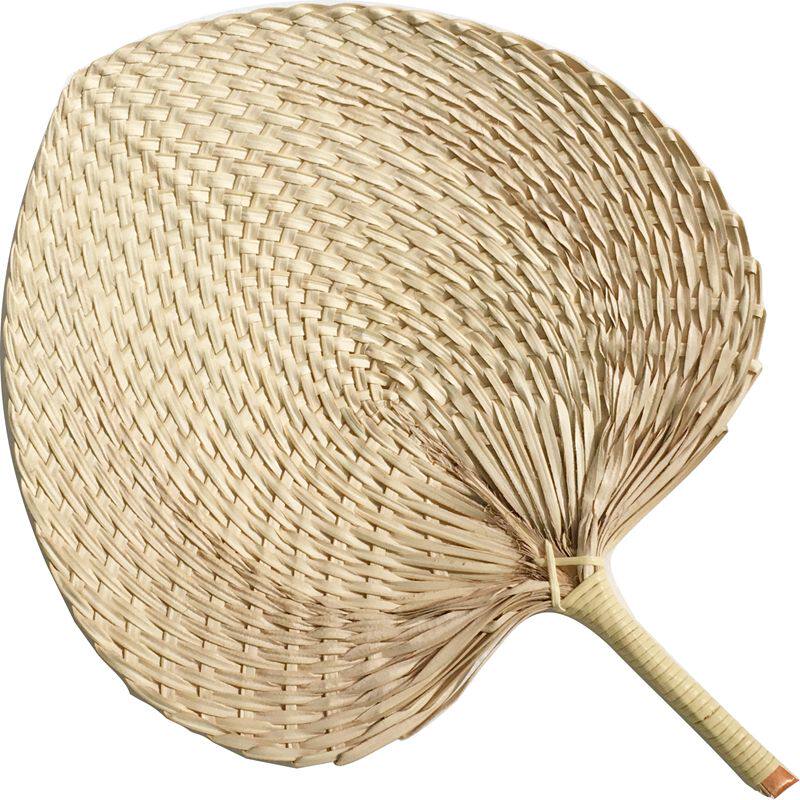 手工儿童2把减棕叶拍芭蕉古风编织蒲草手摇葵扇扇子