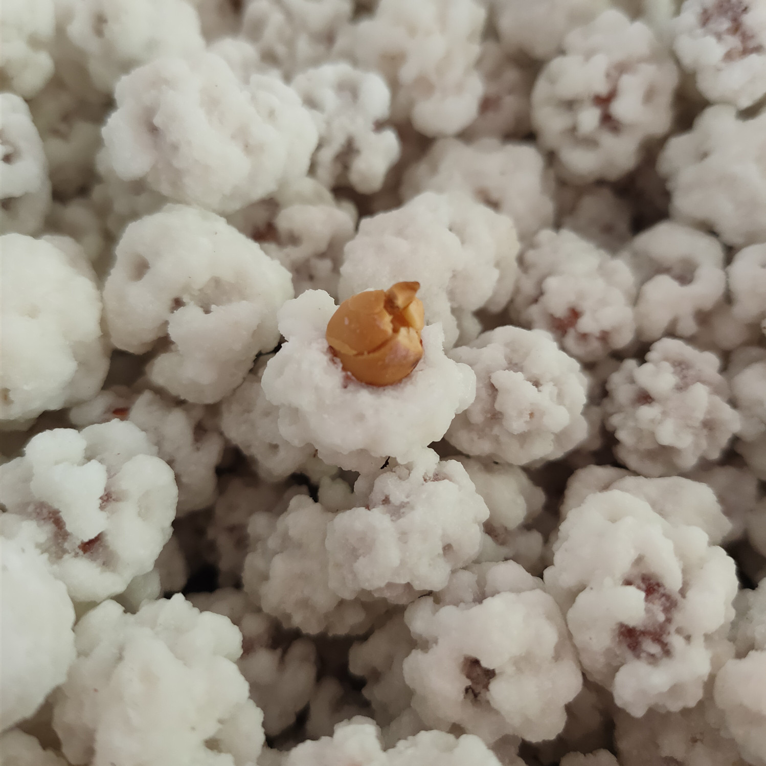 甜花生粘老式白占果裹衣雪花糖皮多味
