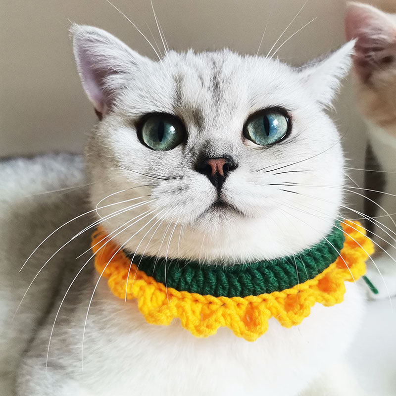 毛线向日葵猫咪项圈狗狗围脖宠物手工脖圈可爱项圈