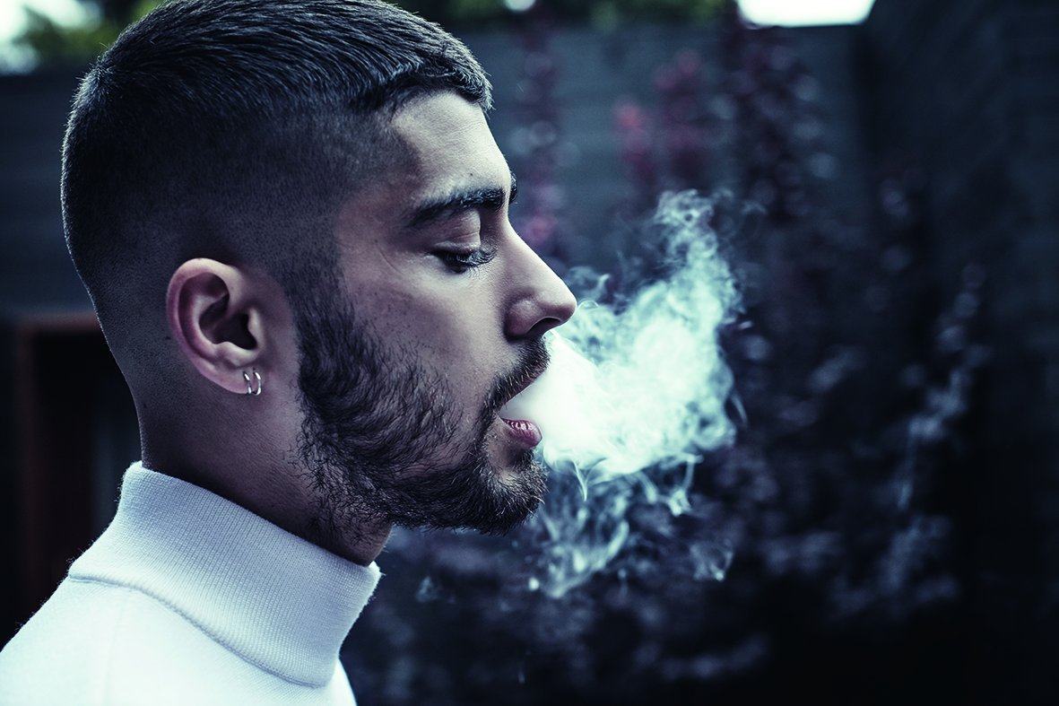 zayntheofficialautobiography泽恩马利克利克malik自传英文原版其它