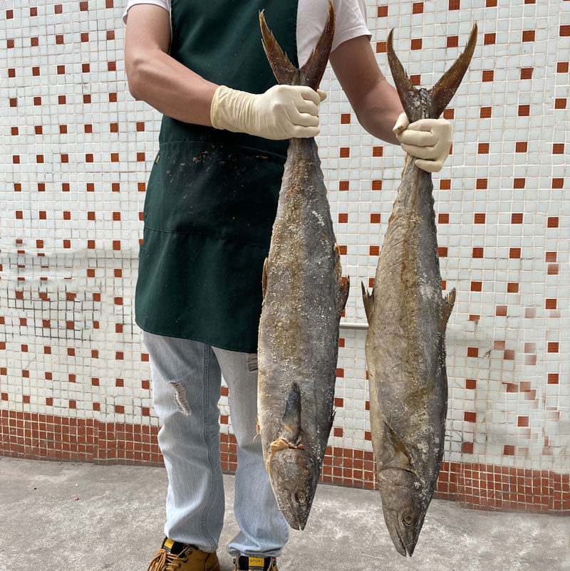 咸鱼梅香马鲛广东正宗霉香马胶茄子鱼干
