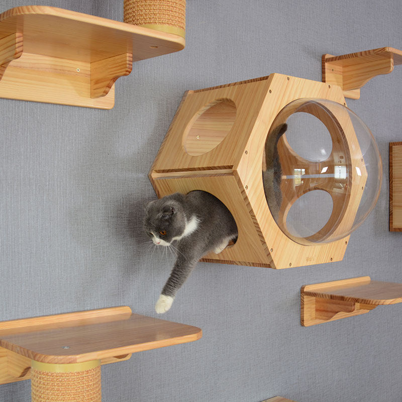 猫窝壁挂实木房子猫爬架太空舱挂墙猫抓diy组合狗窝