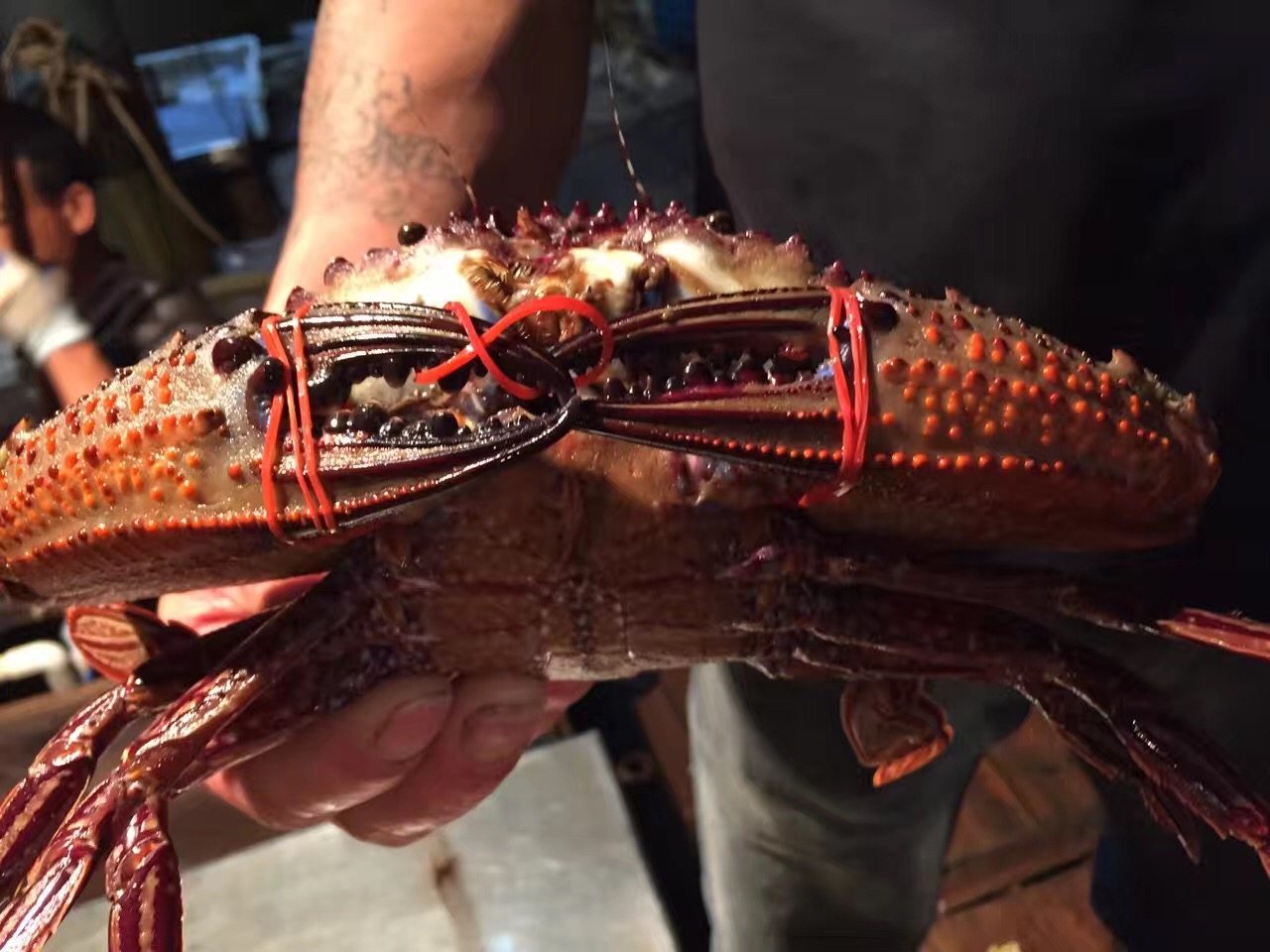 东山岛黑蟹1斤2只4斤全国顺丰包邮最低3斤起发鲜活速冻发货