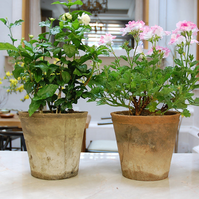 多肉花盆植物粗陶绿植简约约素创意透气瓦盆花盆