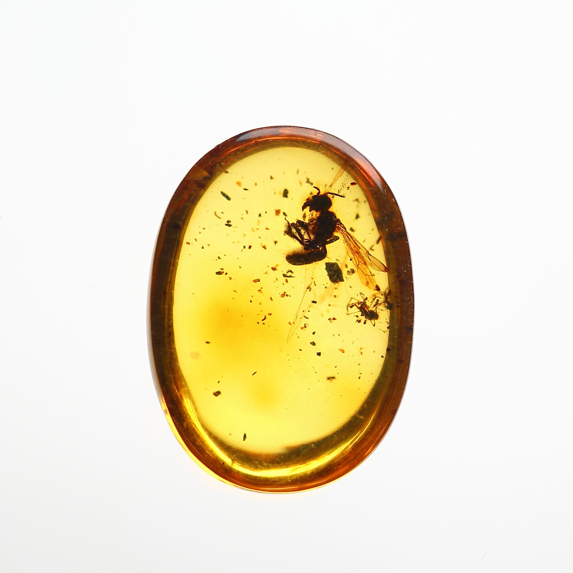 上石清灵天然波罗的海琥珀虫珀戒面俄料带虫镶嵌戒指手饰