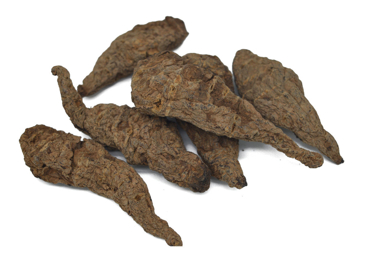 地黄焙干生特级中药材焦作新鲜非熟农家种植原产地生地黄