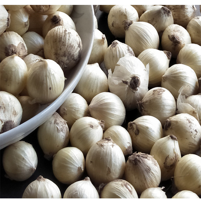 苦蕌四川特产新鲜蔬菜苦茭苦蕌团葱苦蒜小蒜炖其它