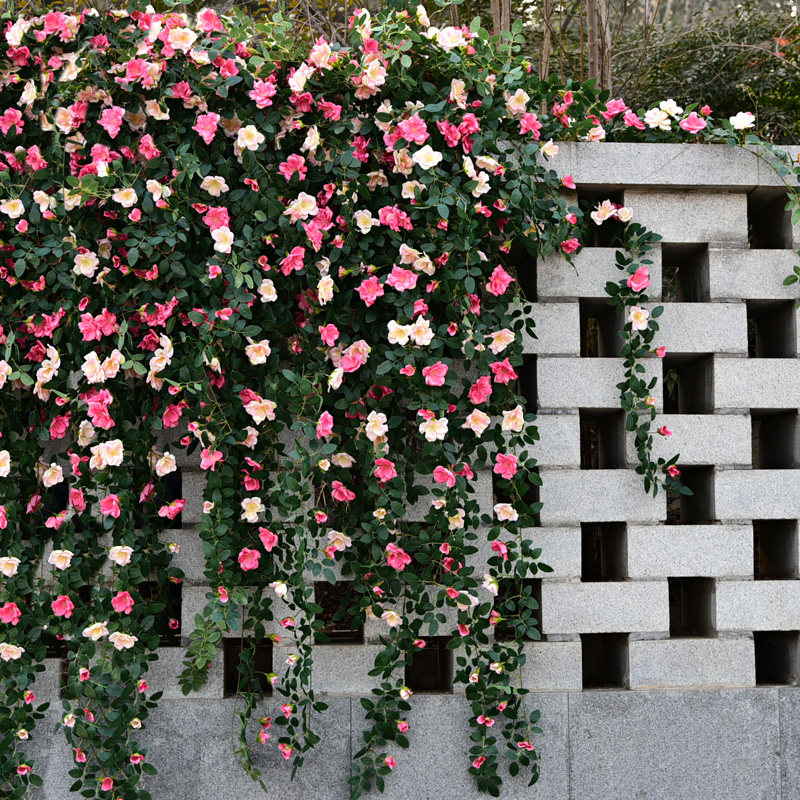 仿真藤蔓挂花壁挂墙壁花墙垂吊植物塑料玫瑰仿真花