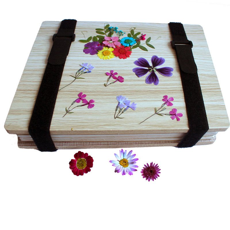 压花押花工具吸湿干花植物标本diy幼儿园贴画干花