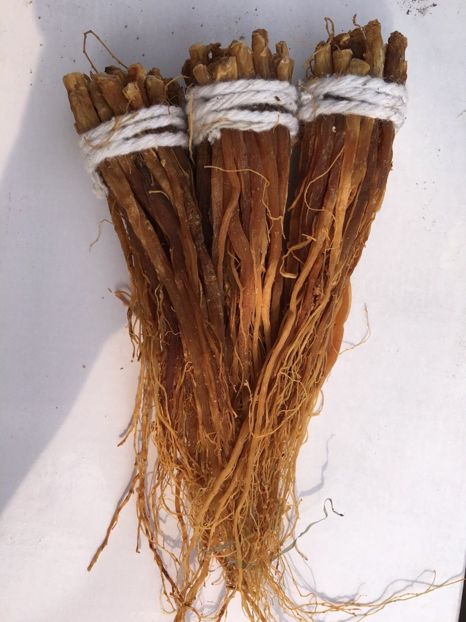 红参长白山须人蔘须68年参须人参一斤男女女人人参