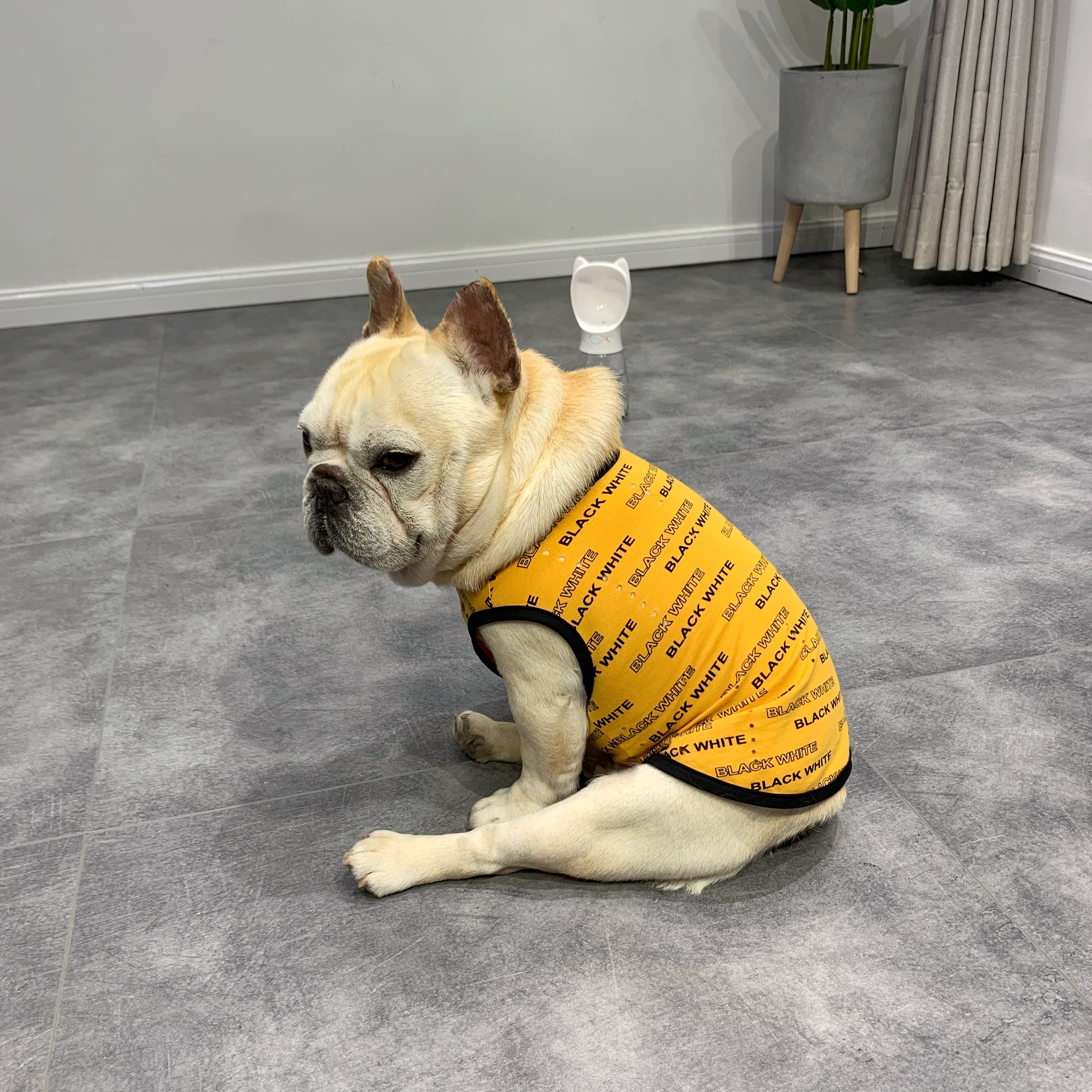 狗狗宠物破洞字母背心 法斗夏季薄款服饰 中小型犬八巴哥潮牌衣服