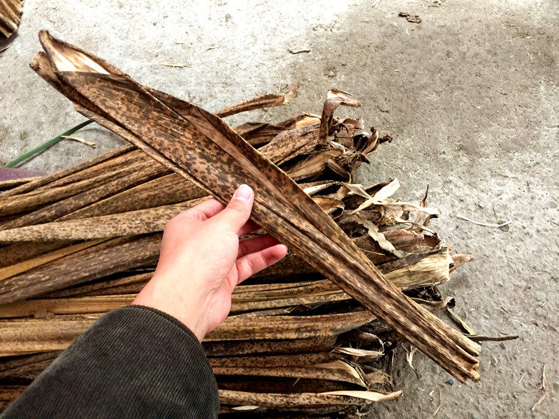 笋壳四川宜宾黄粑叶楠竹10张毛竹端午包粽子叶其它干货